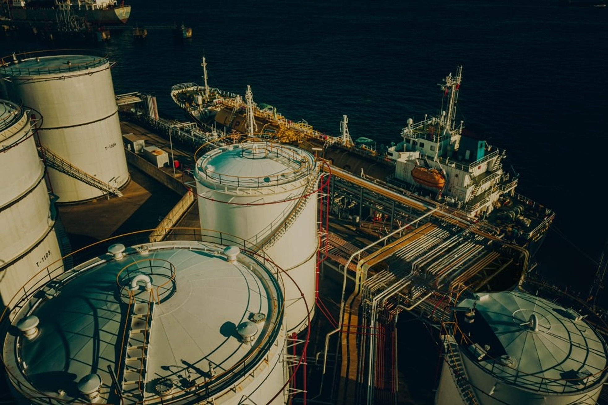 imageonline-co-brightnessadjusted (5)